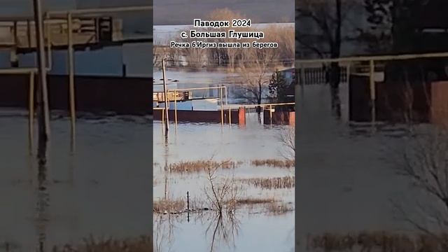 Большая Глушица превратилась в Большую Венецию.. #паво смотреть онлайн