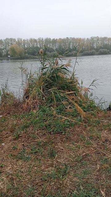 #настроениедня #простожить #житьпросто #жизнь #просто #
