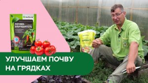 Как улучшить почву и накормить растения?