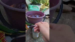 подкормила огурцы удобрением Здравень.