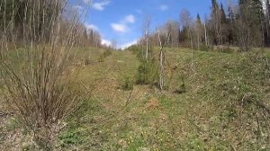 Усть-Койва - Рассольная 8.05.2025