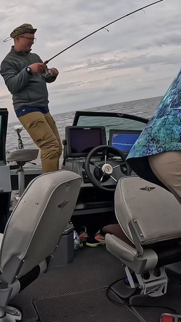 Судак клюнул - отдай спиннинг! смотреть онлайн