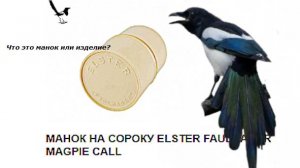 ответы на вопросы сезон 2025 г..