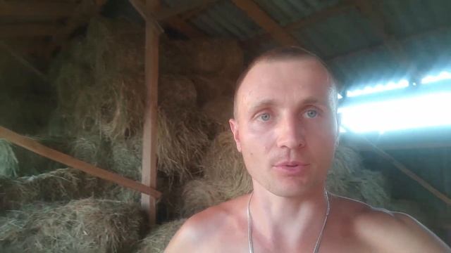 Что с говядиной?!Заготовка кормов.Насосная станция. смотреть онлайн