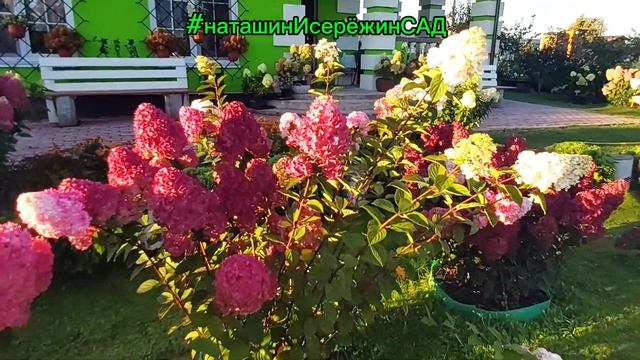 ❤САМАРСКАЯ ЛИДИЯ-ТЫ ЛИ ЭТО?🧐🤪😅😄#наташинИсерёжинС смотреть онлайн