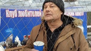Выставка голубей  в городе Красный Луч. 23.12.2023года
