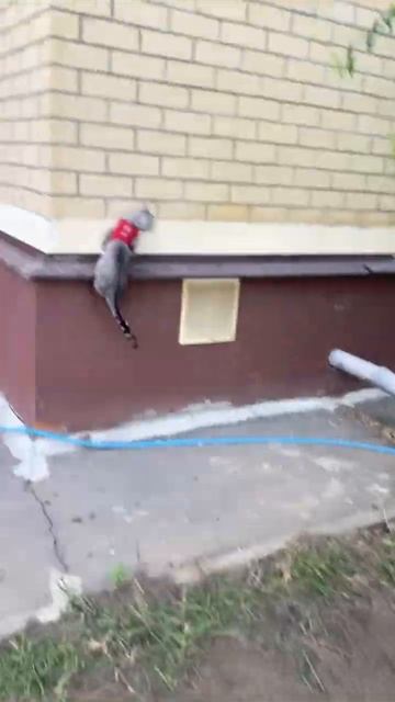 Если с другом вышел в путь, веселей дааааарооогааааа! # смотреть онлайн