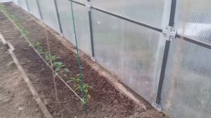 Вот и вечер а работы не видно. 🙈