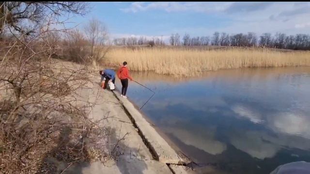 ДАВНО НЕБЫЛО ТАКОГО КЛЁВА!НА ПОПЛАВОК ВЕДРО САМОЙ ВКУ? смотреть онлайн