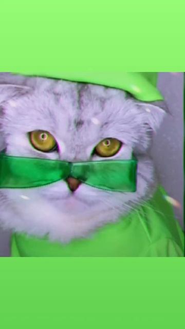 прфл типа РСФСР по поводу лома смотреть онлайн