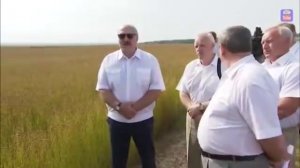 Лукашенко устроил разгром в колхозе "Головы вам заверну"
