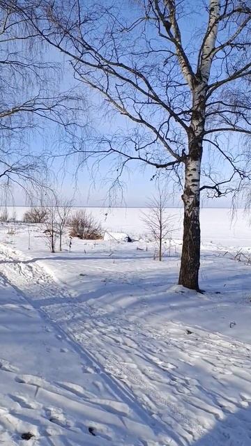 Можно тут быть с комфортом если есть деньги) смотреть онлайн