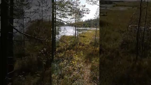 новое неизведанное озеро в карелии смотреть онлайн