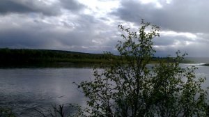 Река ПОНОЙ. БЕСКОНЕЧНЫЙ ВЕЧНЫЙ. #рыбалка #fishing #заполяр?