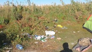 РЫБАЛКА НА САЗАНА .