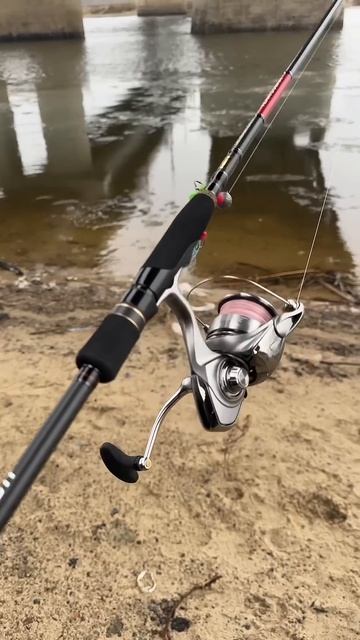 Узнали состав комплекта?#спиннинг #fishing смотреть онлайн