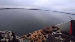 УСПЕШНОЕ ЗАКРЫТИЕ СЕЗОНА ЛОВЛИ ОКУНЯ В ОТВЕС С ЛОДКИ! ?
