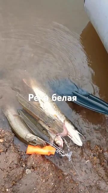 29 июня 2024 г. смотреть онлайн