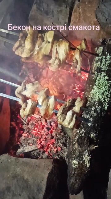 @Simeynaribalka #fishing #салонакострові#карповый #карп #рыболовн смотреть онлайн