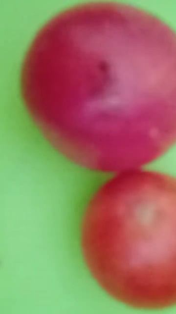 Самый лучший томат в мире! Высокоурожайный,вкусный и с смотреть онлайн