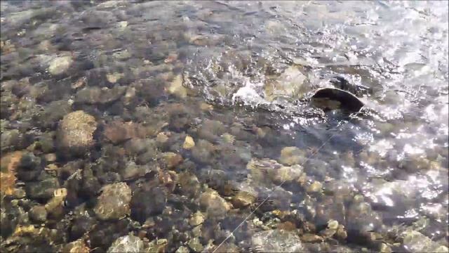 Колыма - 2022 смотреть онлайн