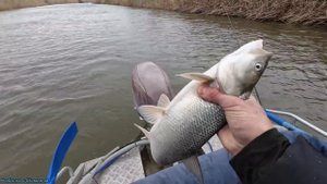 НАША РЫБАЛКА В АСТРАХАНИ (март 2025) часть (2)