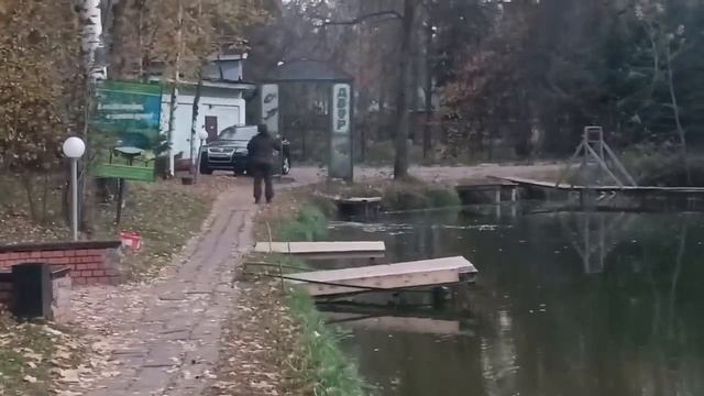 Голицыно Fish смотреть онлайн