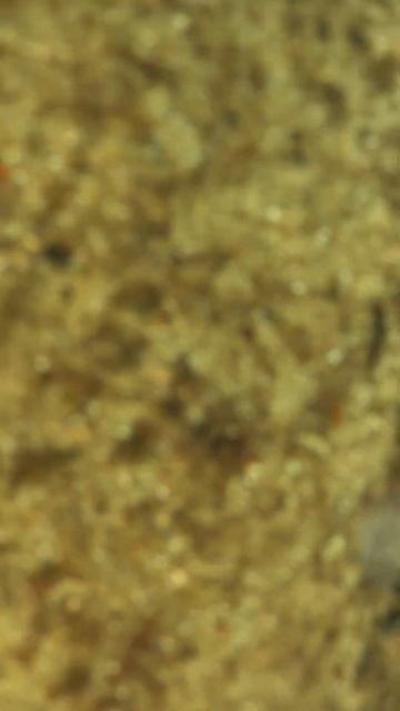 Толщина льда на северном озере #карелия #озеро #зима смотреть онлайн