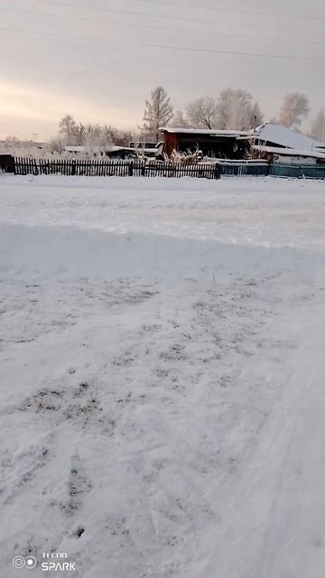 #зима Алтайский край Ребрихинский район
