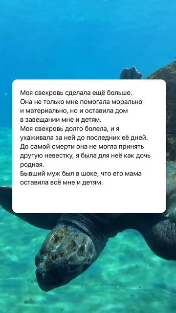 Свекровь ❤️ #рекомендации #семьявместе #отношения #жи