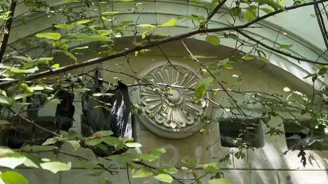 Территория Ливадийского парка ушла в частные руки и готовится к перепродаже смотреть онлайн