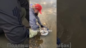 Рыбалка на реке Тура. Рыбалка в Тюмени