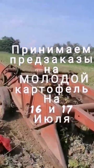 Есть кто с Хабаровска? смотреть онлайн