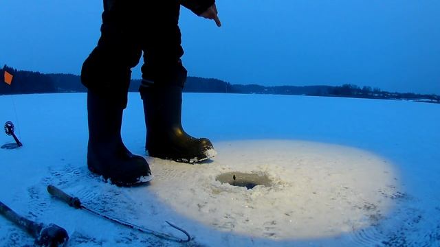 Трофейная щука на Селигере смотреть онлайн
