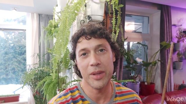 Фил. Биркин и Алоказия Фрайдек и подарочки