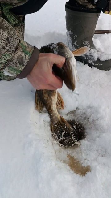 10 флажков 10 подъёмов.... Вазуза..онлайн смотреть онлайн