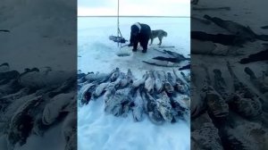 Якутия рыбалка