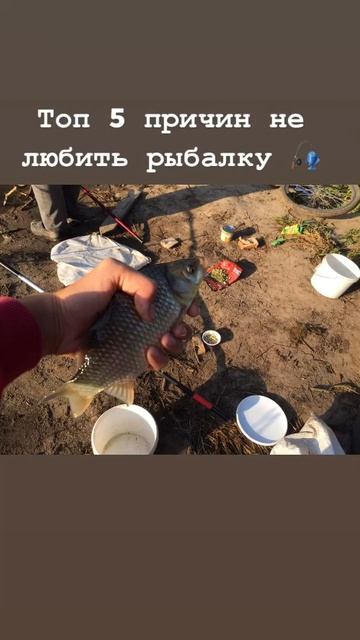 Топ пять причин не любить рыбалку? смотреть онлайн