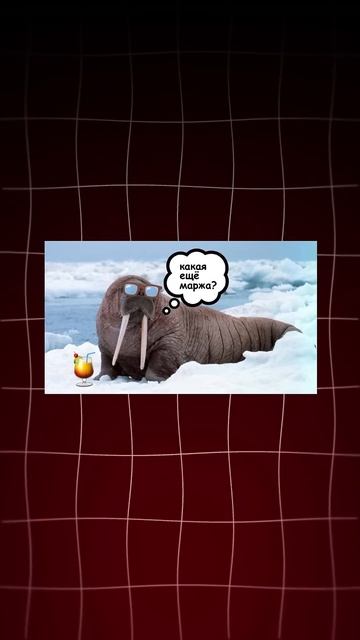 Ставишь цену ниже чем у конкурентов? #ozon #wb #маркетплей? смотреть онлайн