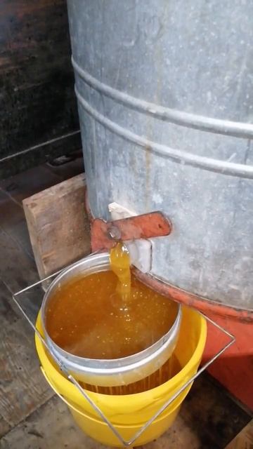 майский медок смотреть онлайн