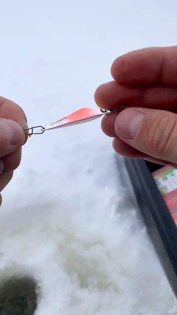 Блесна для окуня✔️Ise fishing in perch❄️#perch #окунь #рыбалка #l