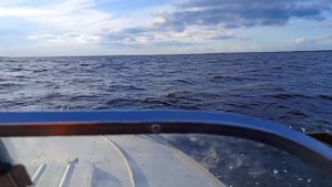 Озеро Воже, Вологодская область 17.07.24г.