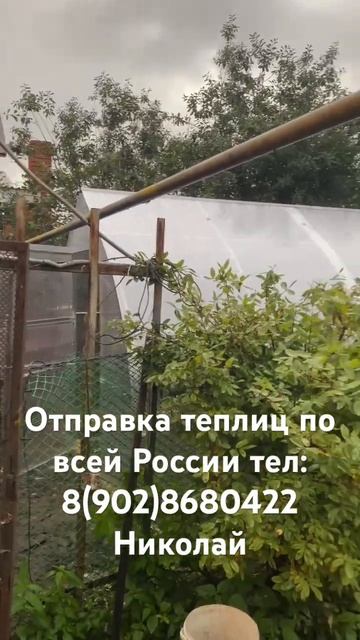 #теплица #теплицадлядачи #усиленнаятеплица #капелька #