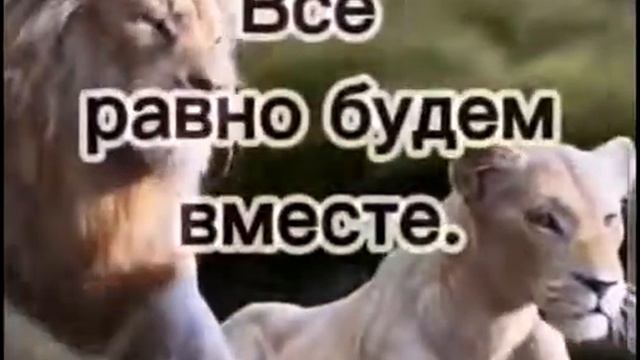 Ага, милый ты моя судьба 🍀 😉🤗💋❤️ смотреть онлайн