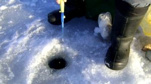 Зимний поплавок,как рыбачить