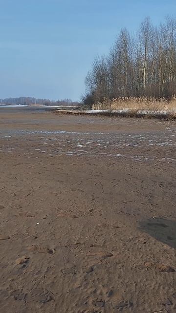 Рыбалка на спиннинг весной.Скинули воду на метр перед смотреть онлайн