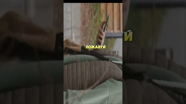 Любопытство дома у собаки