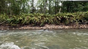 Приморский край. Горная рыбалка 1 сентября.