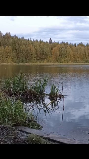 Природа,Рыбалка,Осень.Небольшая зарисовка. смотреть онлайн