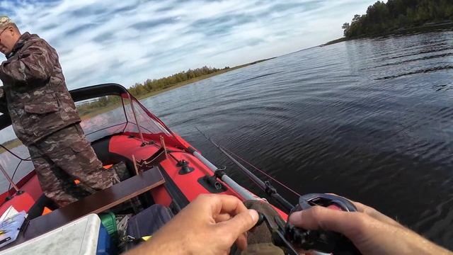 Озеро Воже. Заключительный день нашего знакомства с о? смотреть онлайн